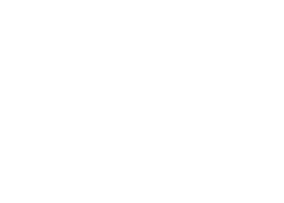 cloud nine white logo